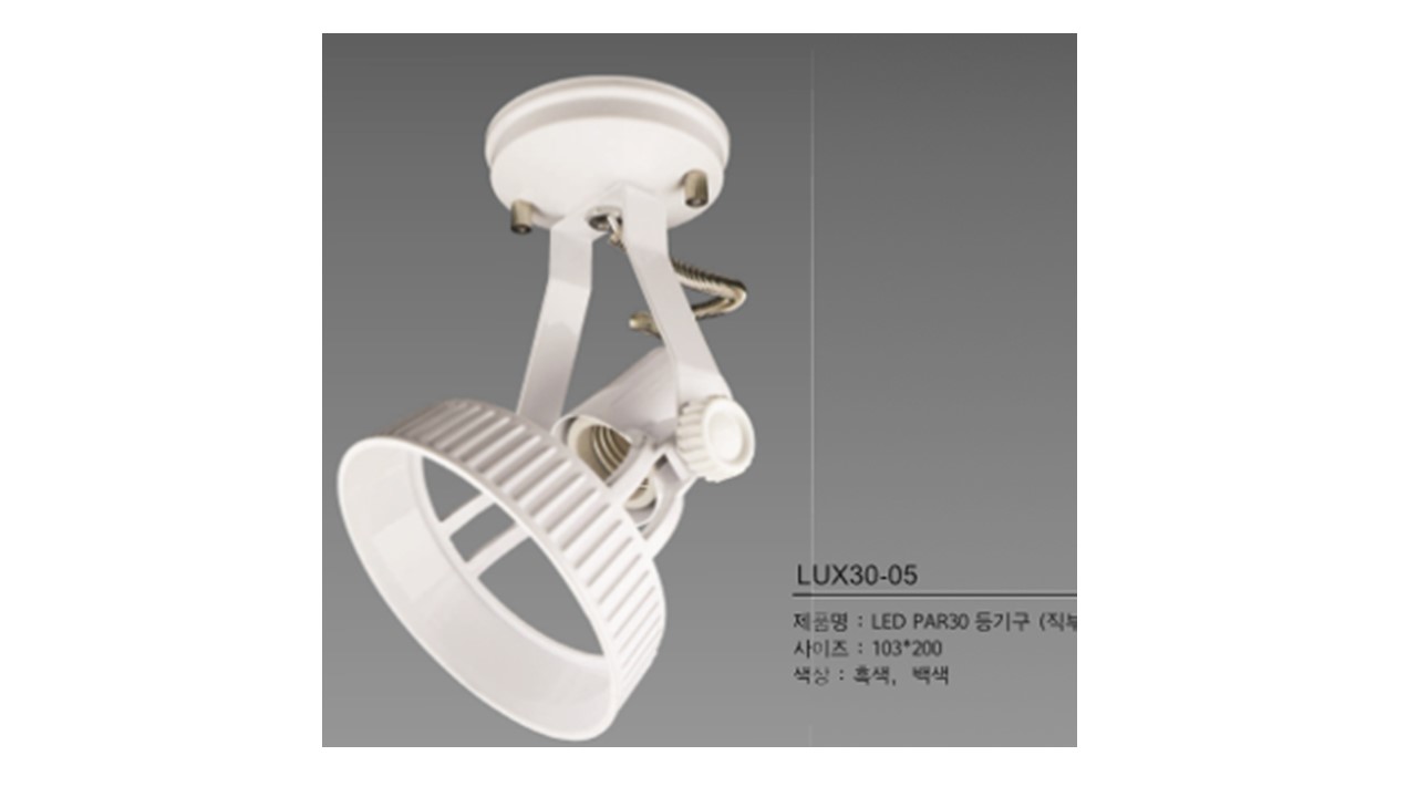 LED PAR30 luminaire (direct)